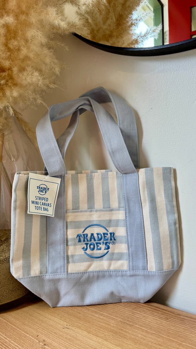 Trader Joe's Mini Striped Canvas Tote Bag Blue White Stripe